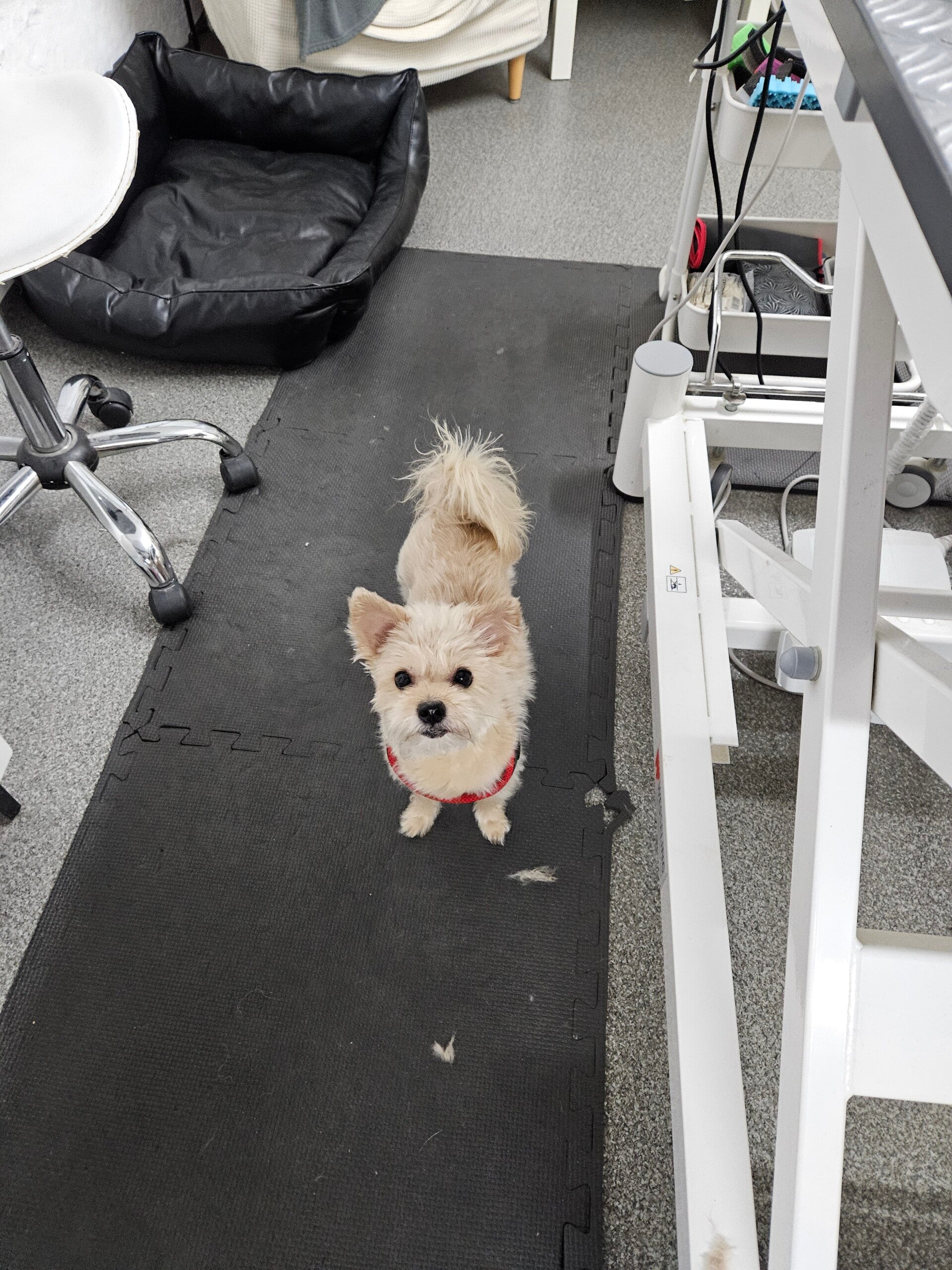 kira_20260127_152237-standard.jpg
