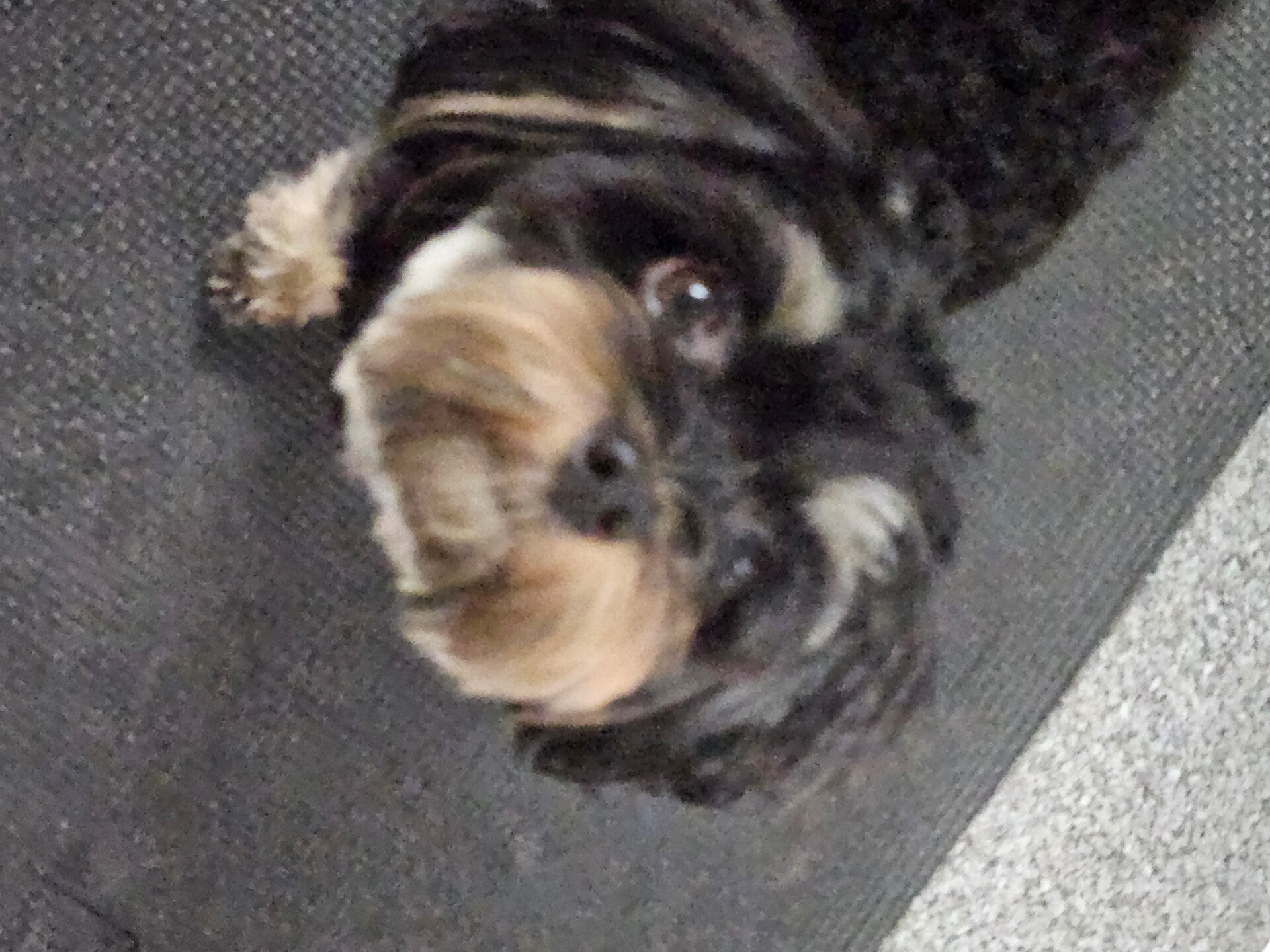 milo_20250829_202102-1-standard.jpg