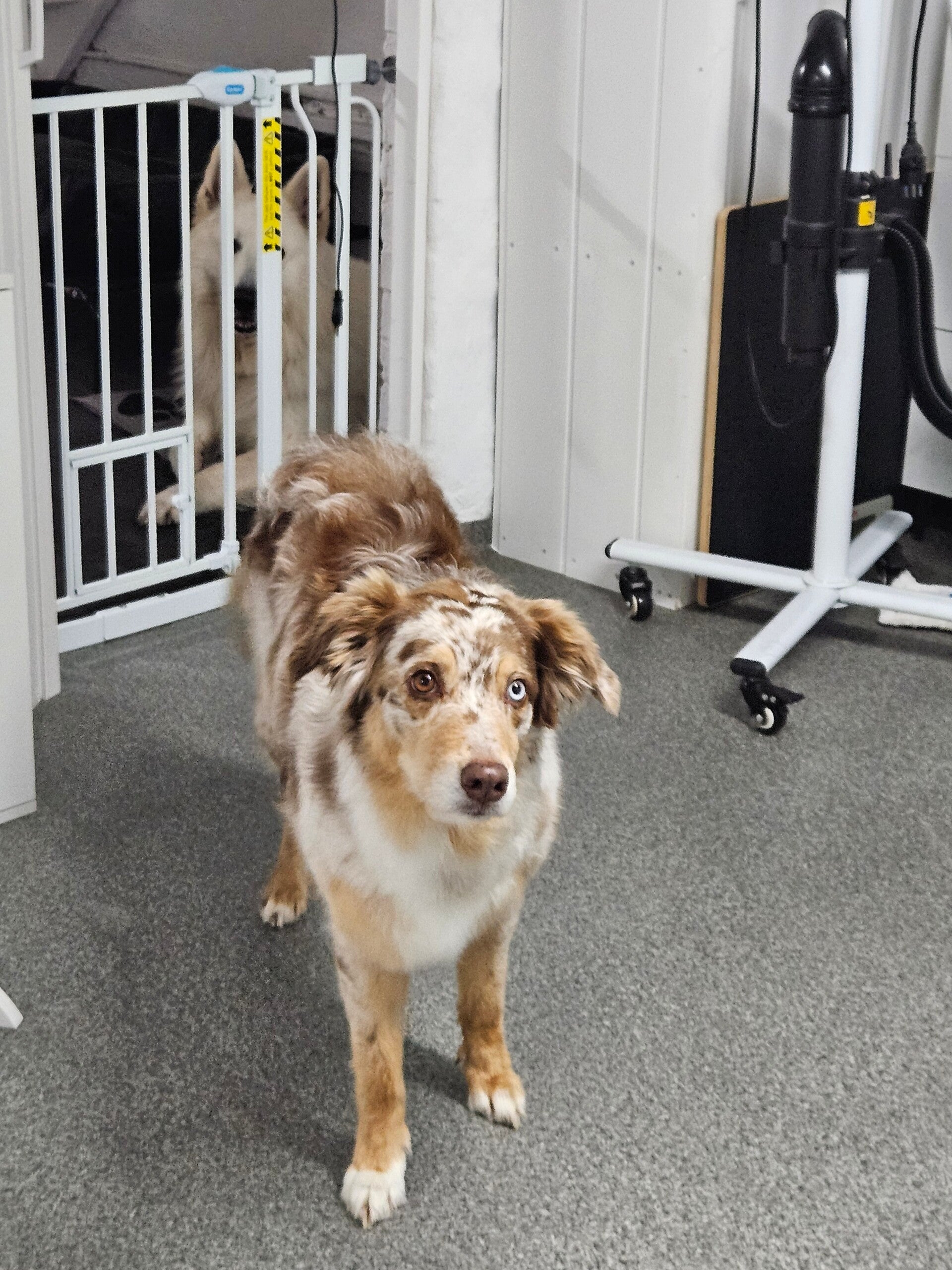 molly_20260327_174246-standard.jpg