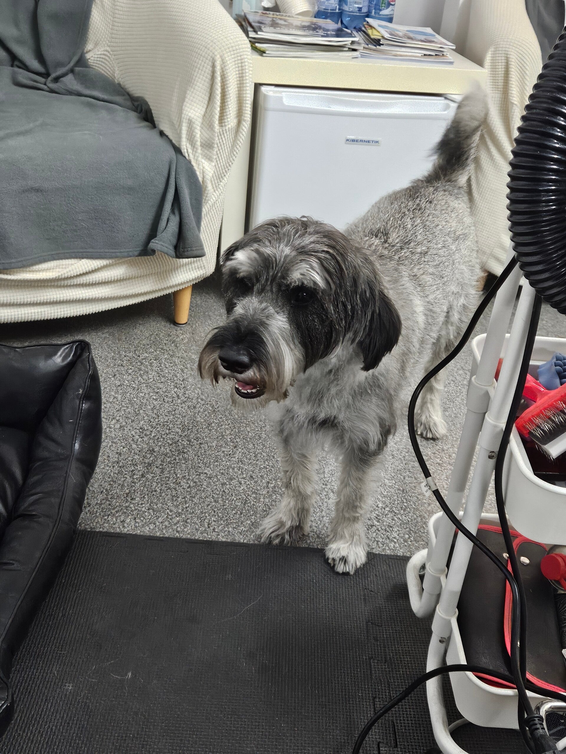 molly_20260522_141245-standard.jpg