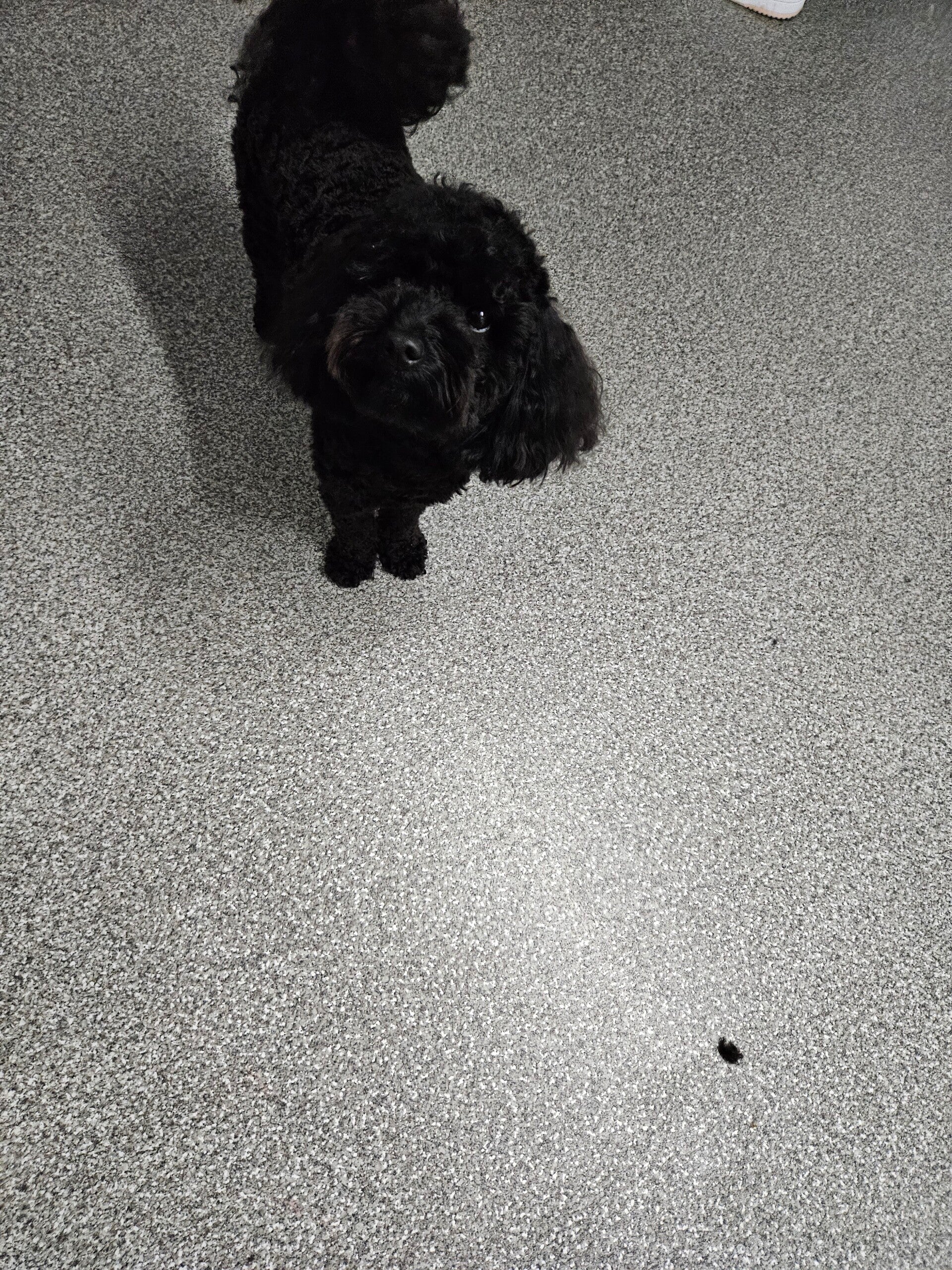 nala_20251110_174440-1-standard.jpg