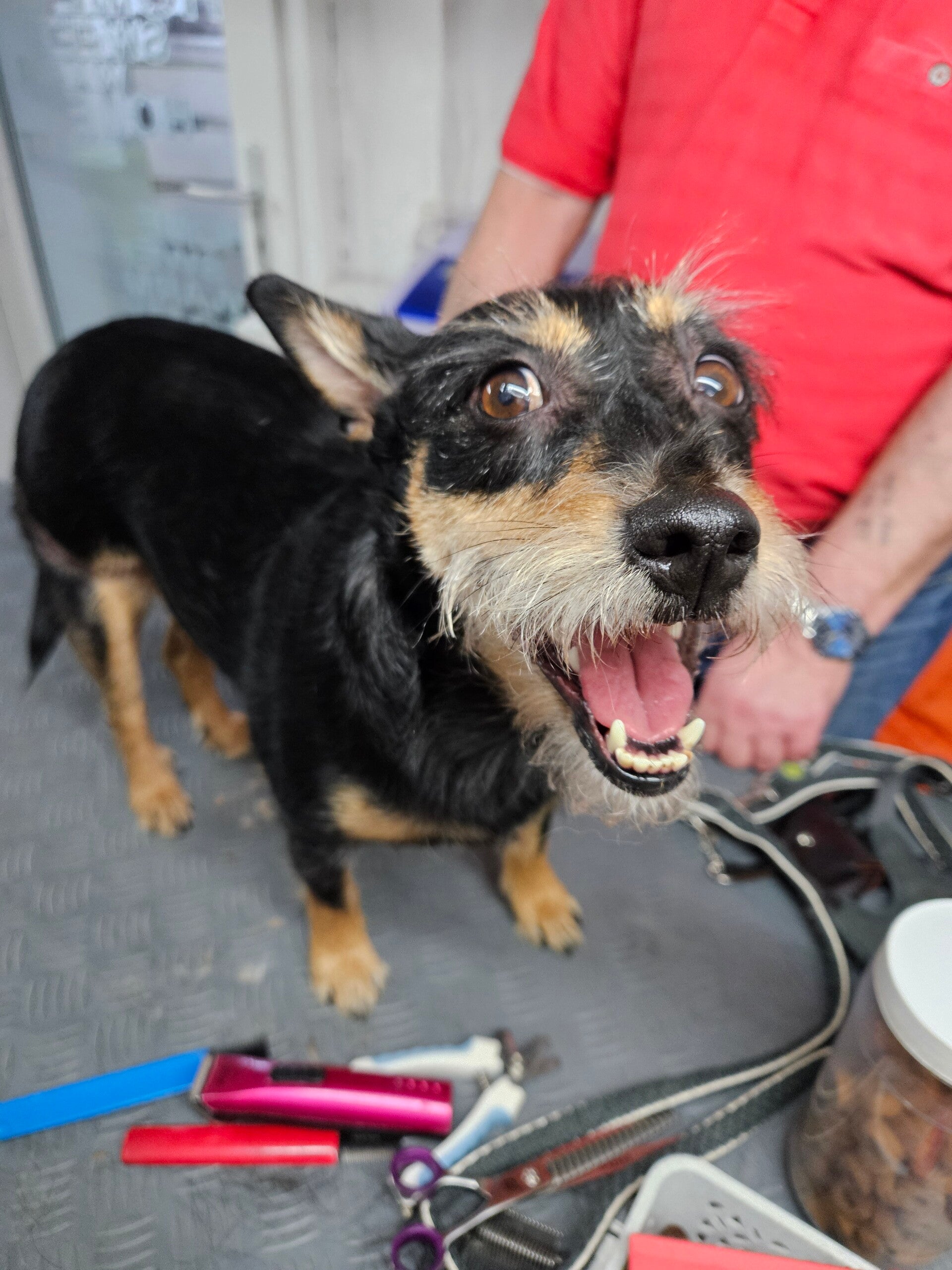 nala_20260216_161609-standard.jpg