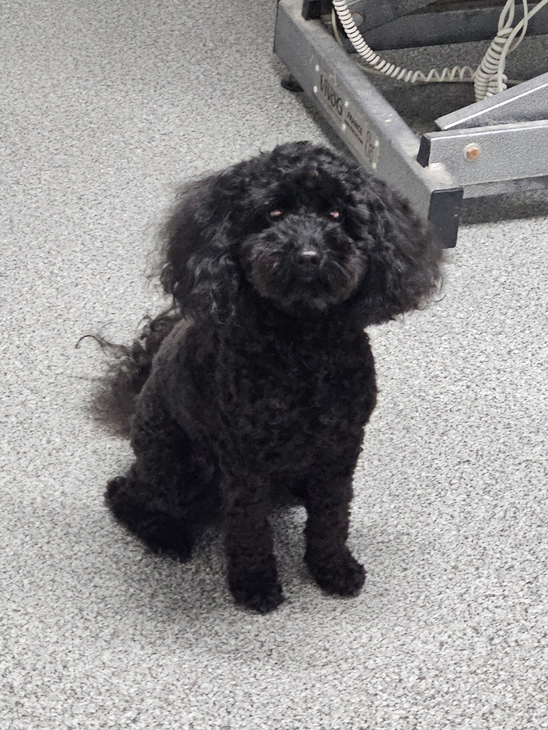 nala_20260311_131938-standard.jpg
