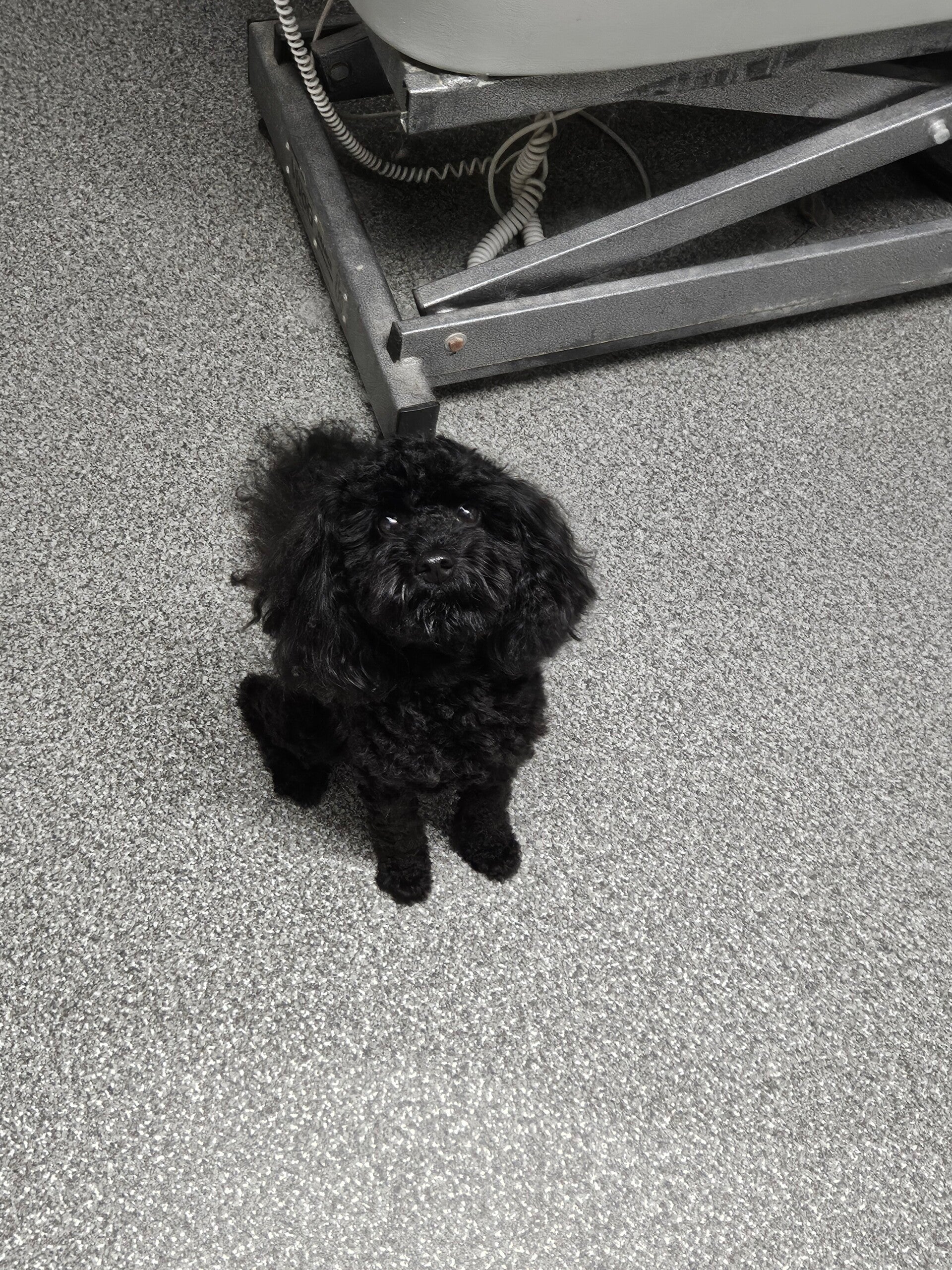 nala_20260416_133146-standard.jpg