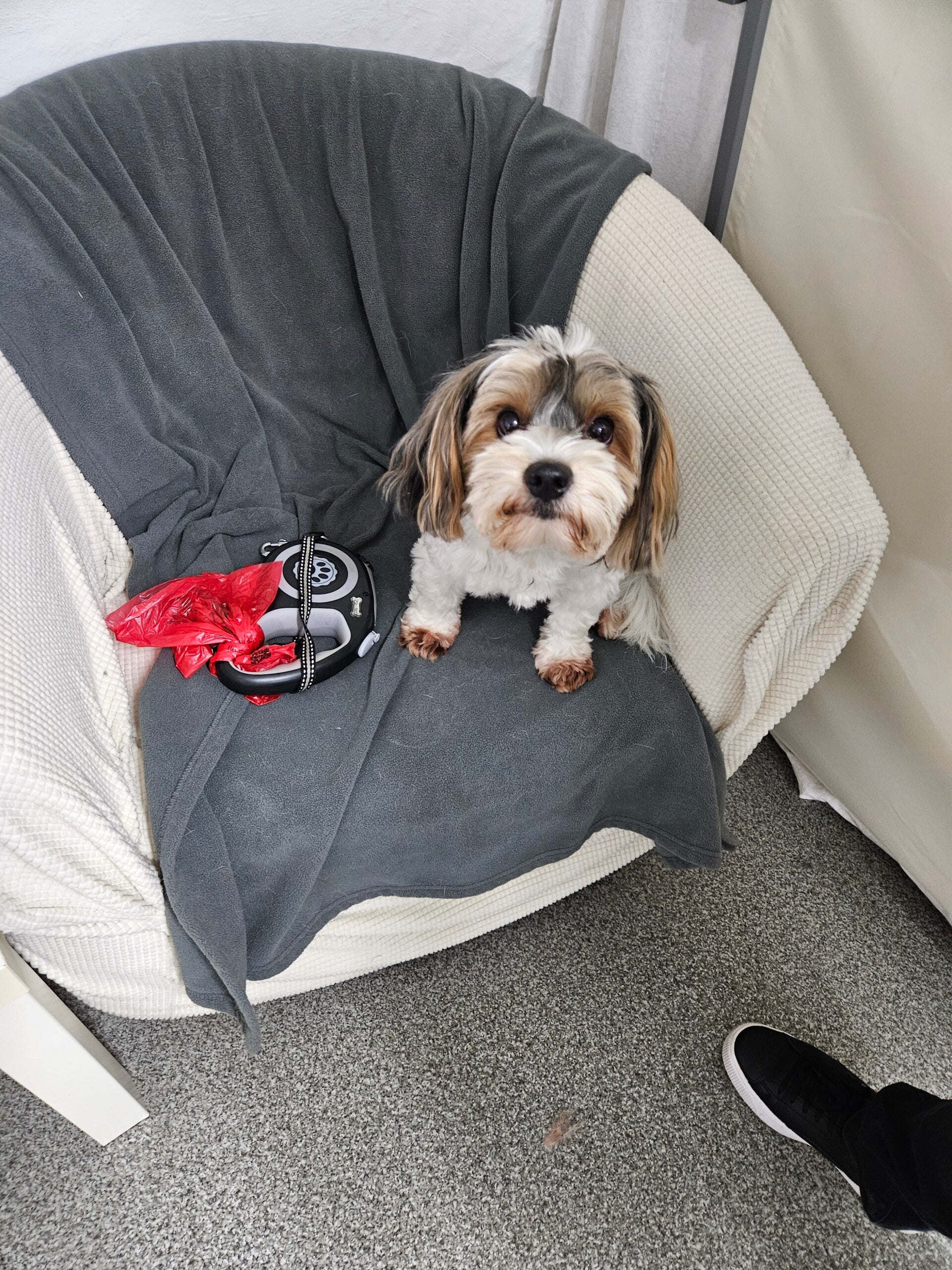 rocky_20251126_181321-standard.jpg