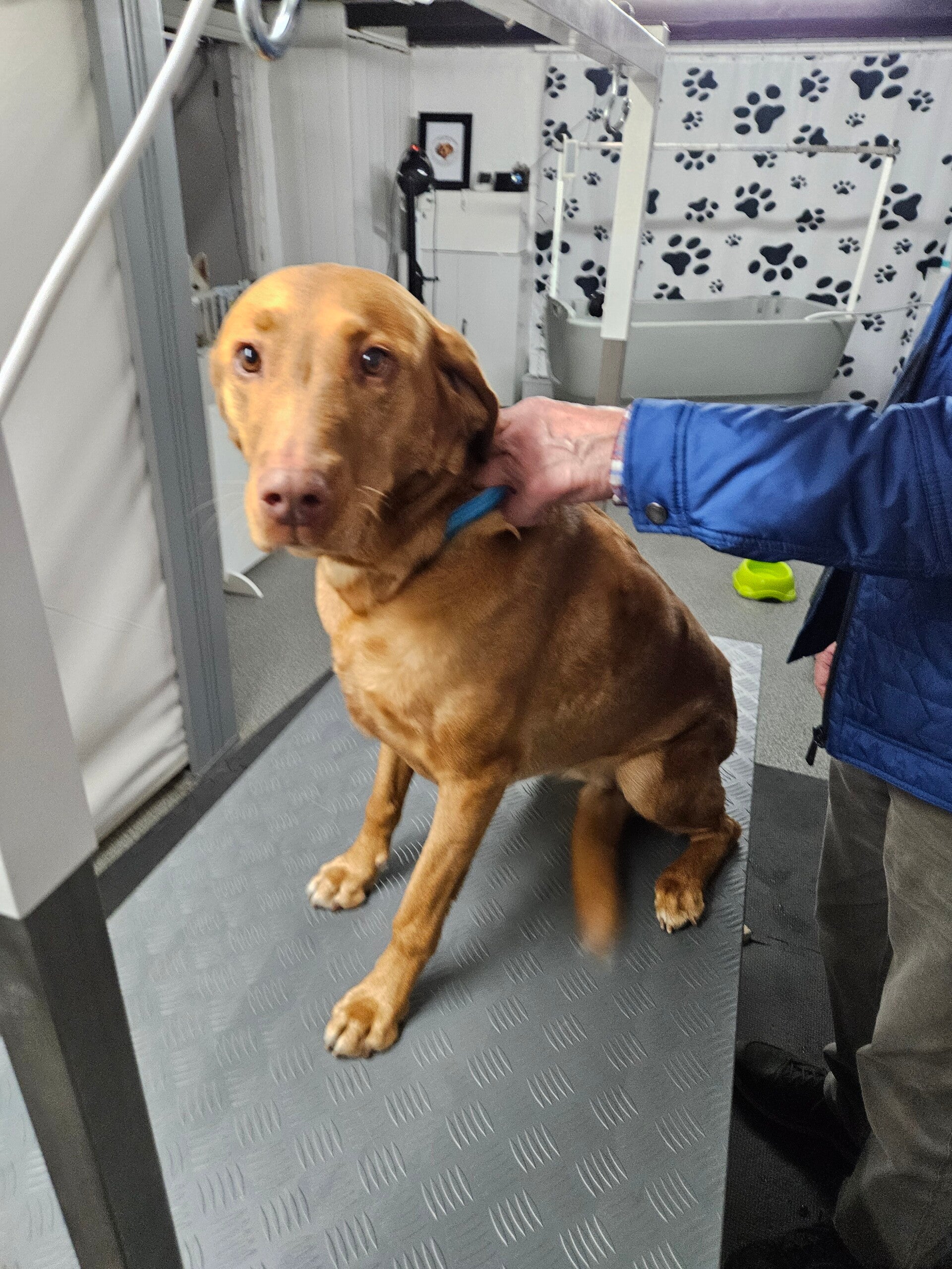 ronja_20260309_172456-standard.jpg