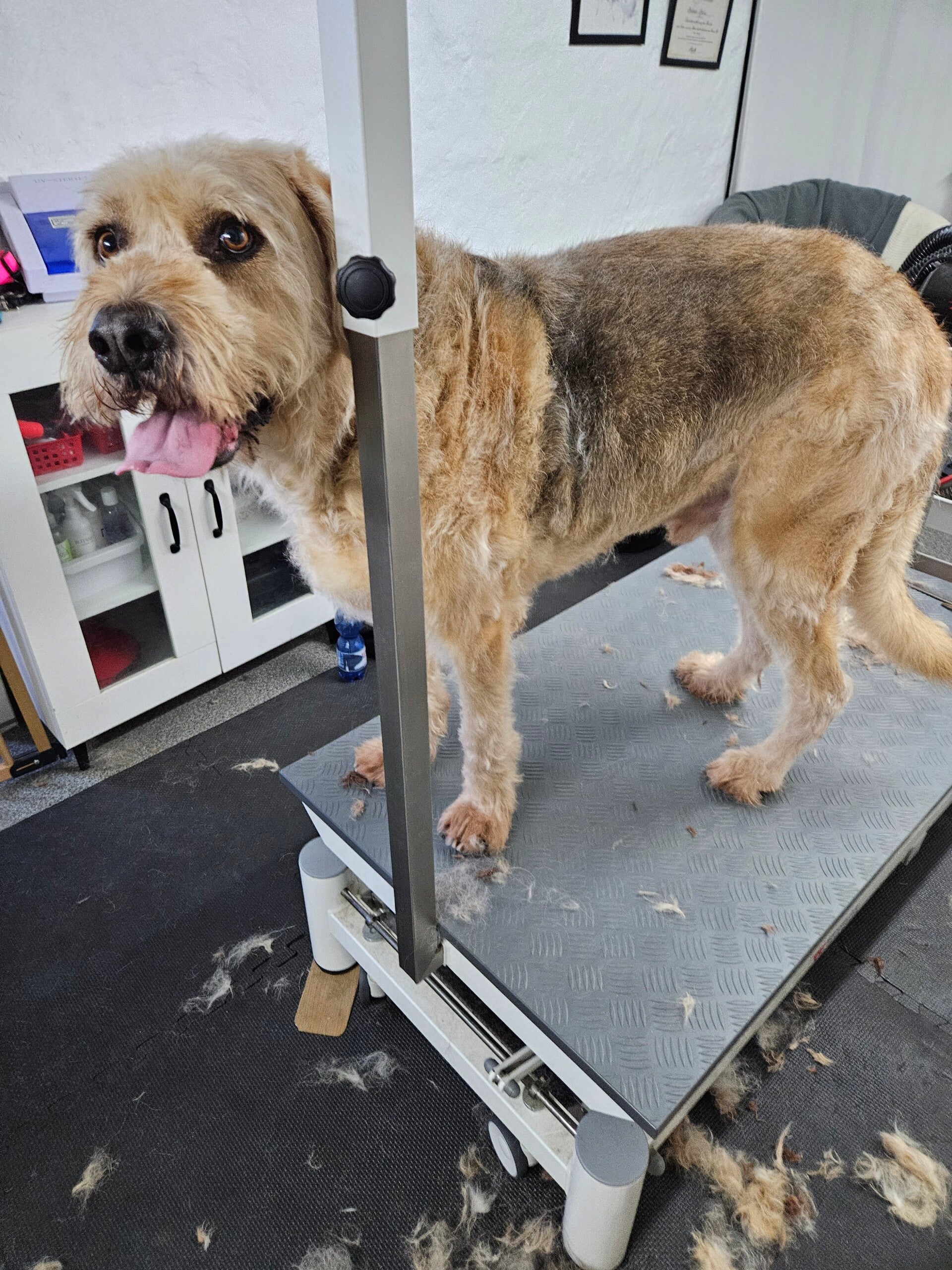 ronny_20250811_175313-1-standard.jpg
