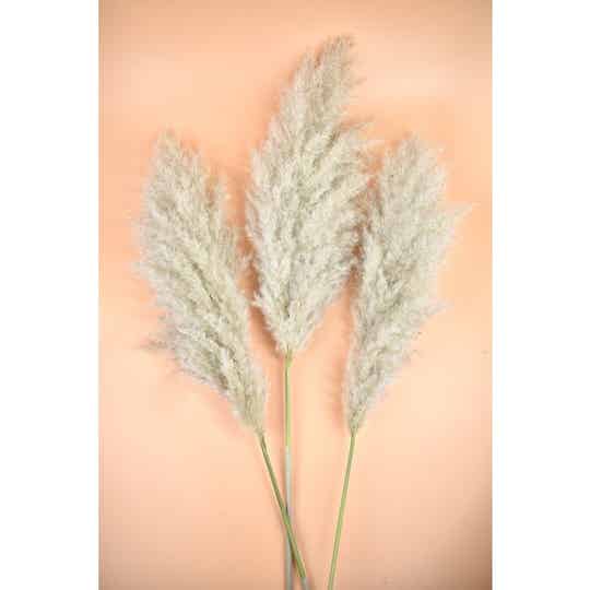 Fluffy pampas XL | 100 cm
