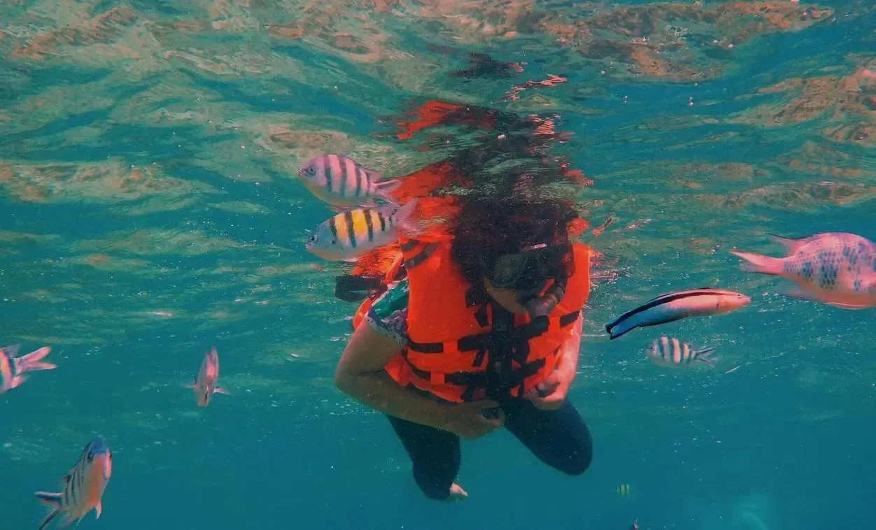 snorkeling excursion with tropical fish