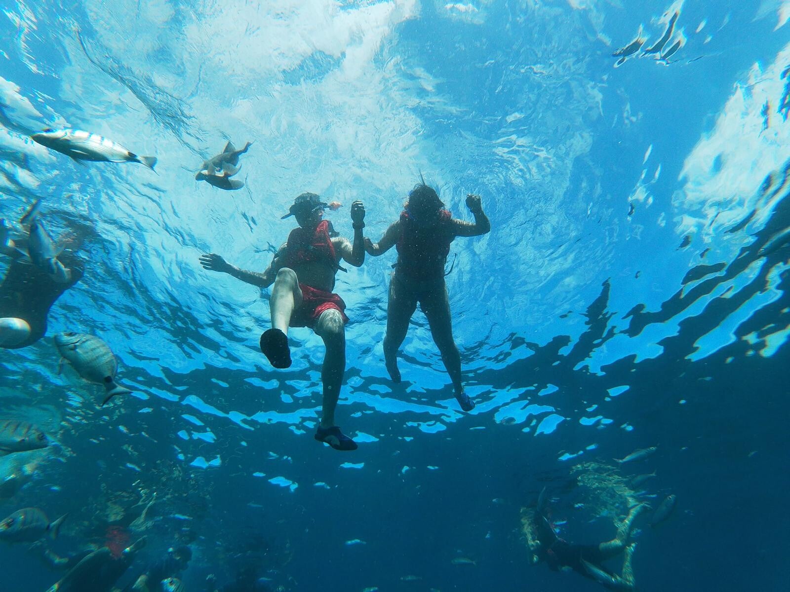 Peaceful moment floating above the reef.