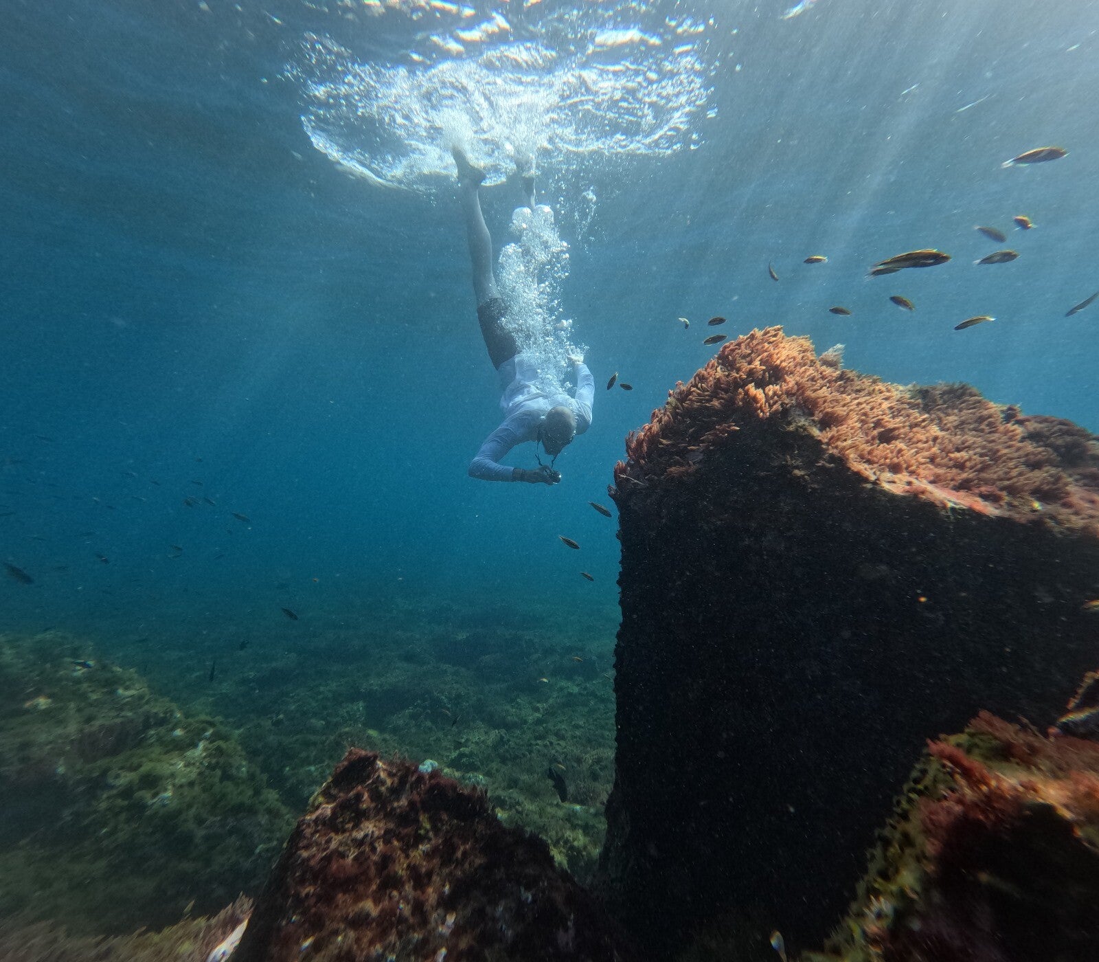 snorkeling in the crystal clear waters of Palm Mar