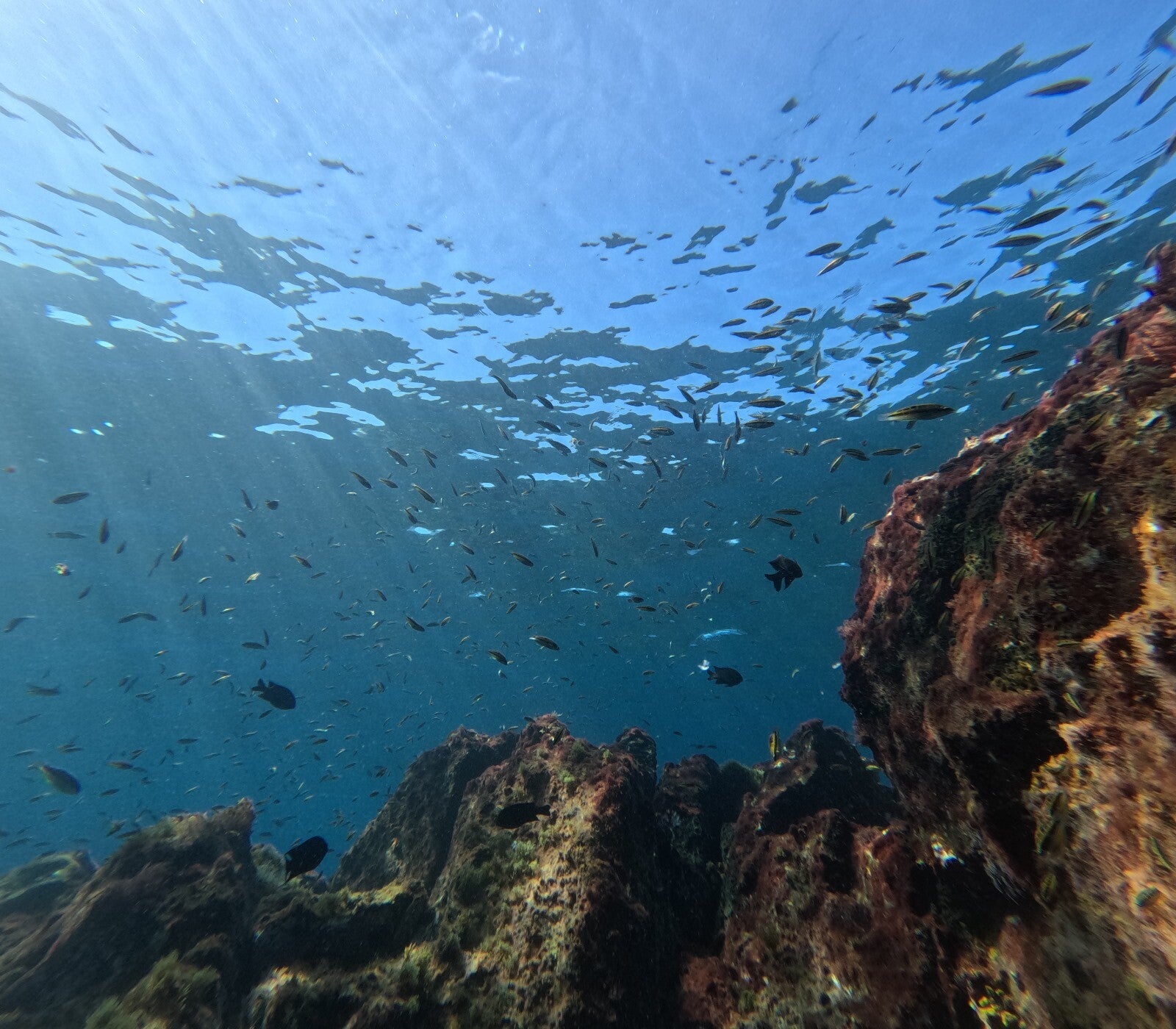 Crystal-clear waters and endless horizons.