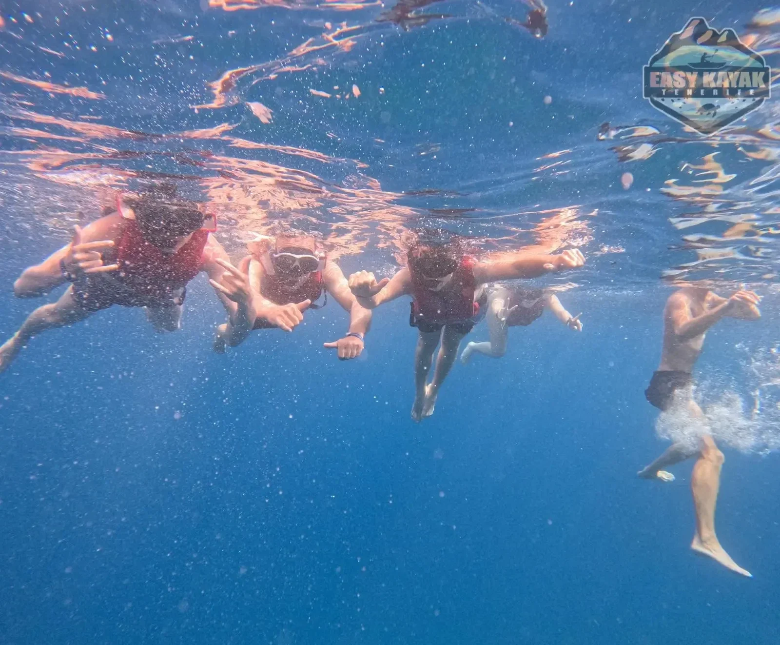 Snorkeling with sea turtles in the Palm-Mar marine reserve