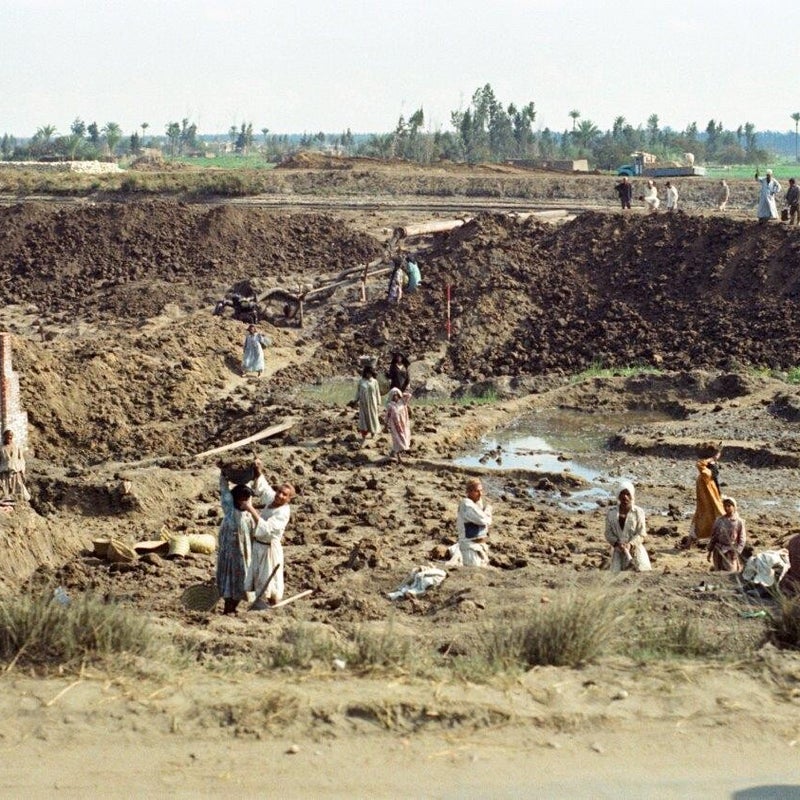 1973_10_30_fahrt-kairo-ismailia-entlang-s-sswasserkanal_17-standard-y0hr4z.jpg