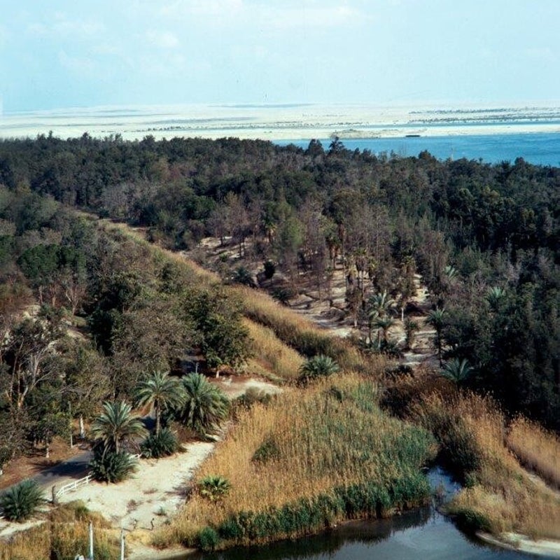 1974_01_07_ismailia_-berblick_blick-nach-osten_thimsa-see_suez-kanal_dahinter-sinai-w-ste_moe1858a-standard.jpg