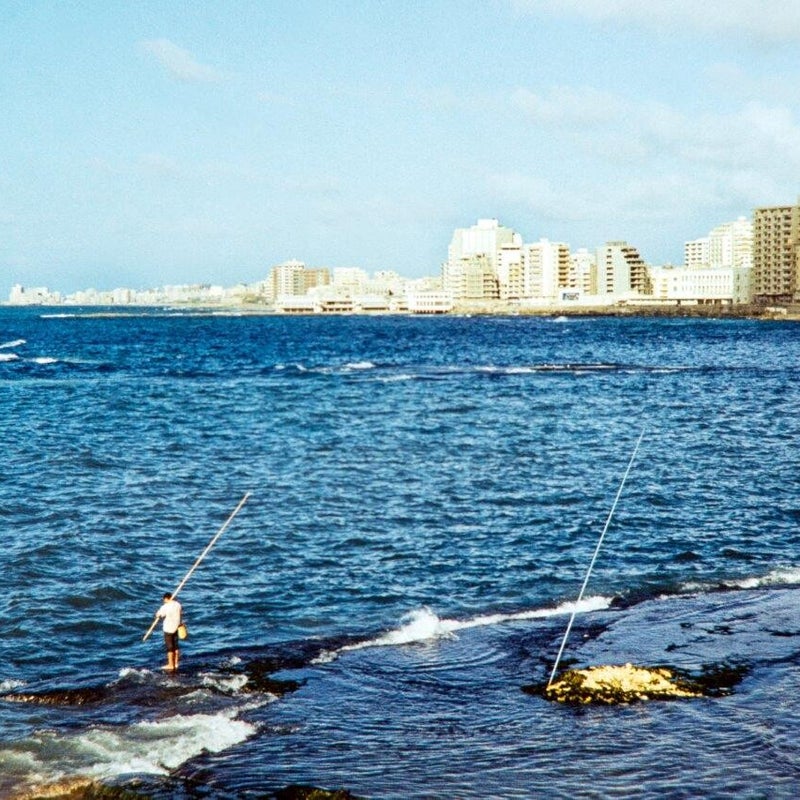 1974_03_15_in-alexandria-ist-der-seetransport-eingetroffen_moe1867-standard.jpg