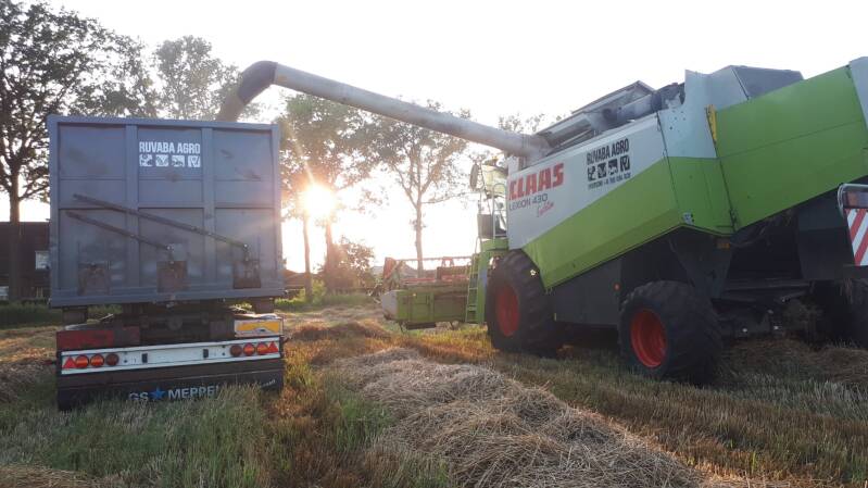 Ruvaba Agro aan het graan lossen in graancontianer