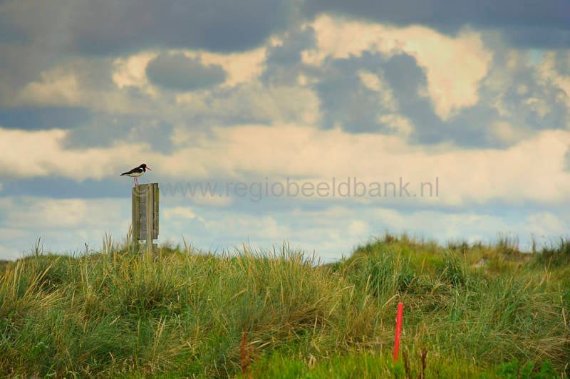 Golfbaan_Texel_035-1.jpg