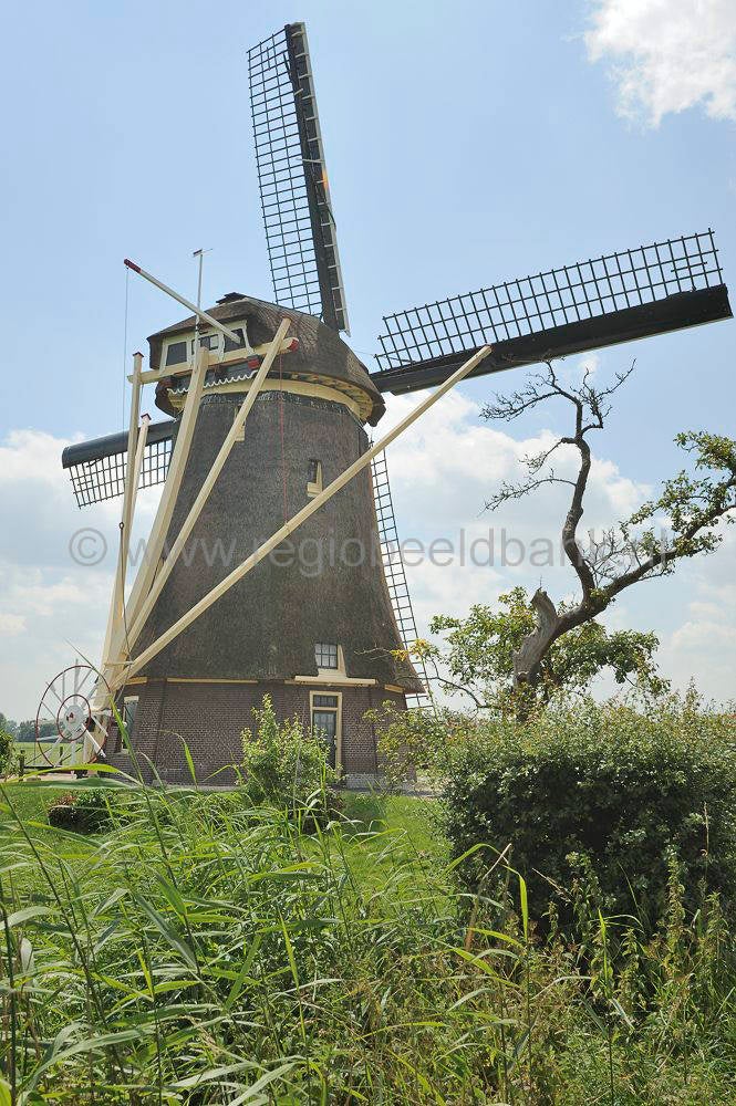 Hoekermolen_007.jpg