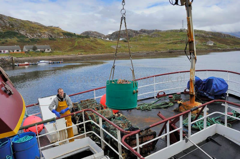 Kinlochbervie_fish_selling_005.jpg