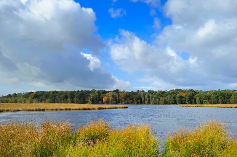 Leersumseplas_Herfst_2017_004.jpg