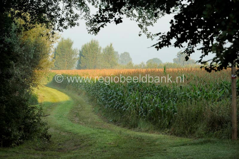 TerWolde_007.jpg