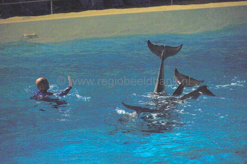 dolfinarium_062.jpg
