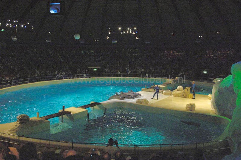 dolfinarium_064.jpg