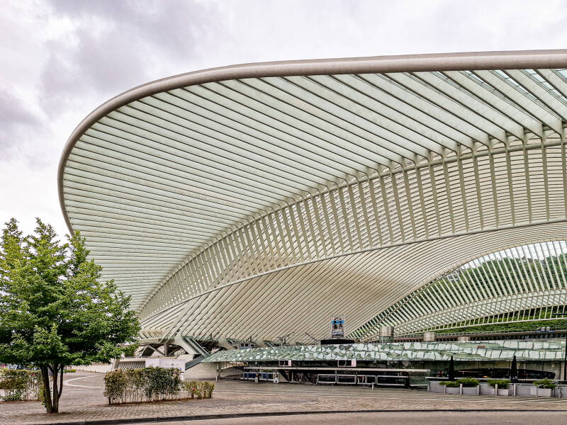 La verrière des Guillemins
