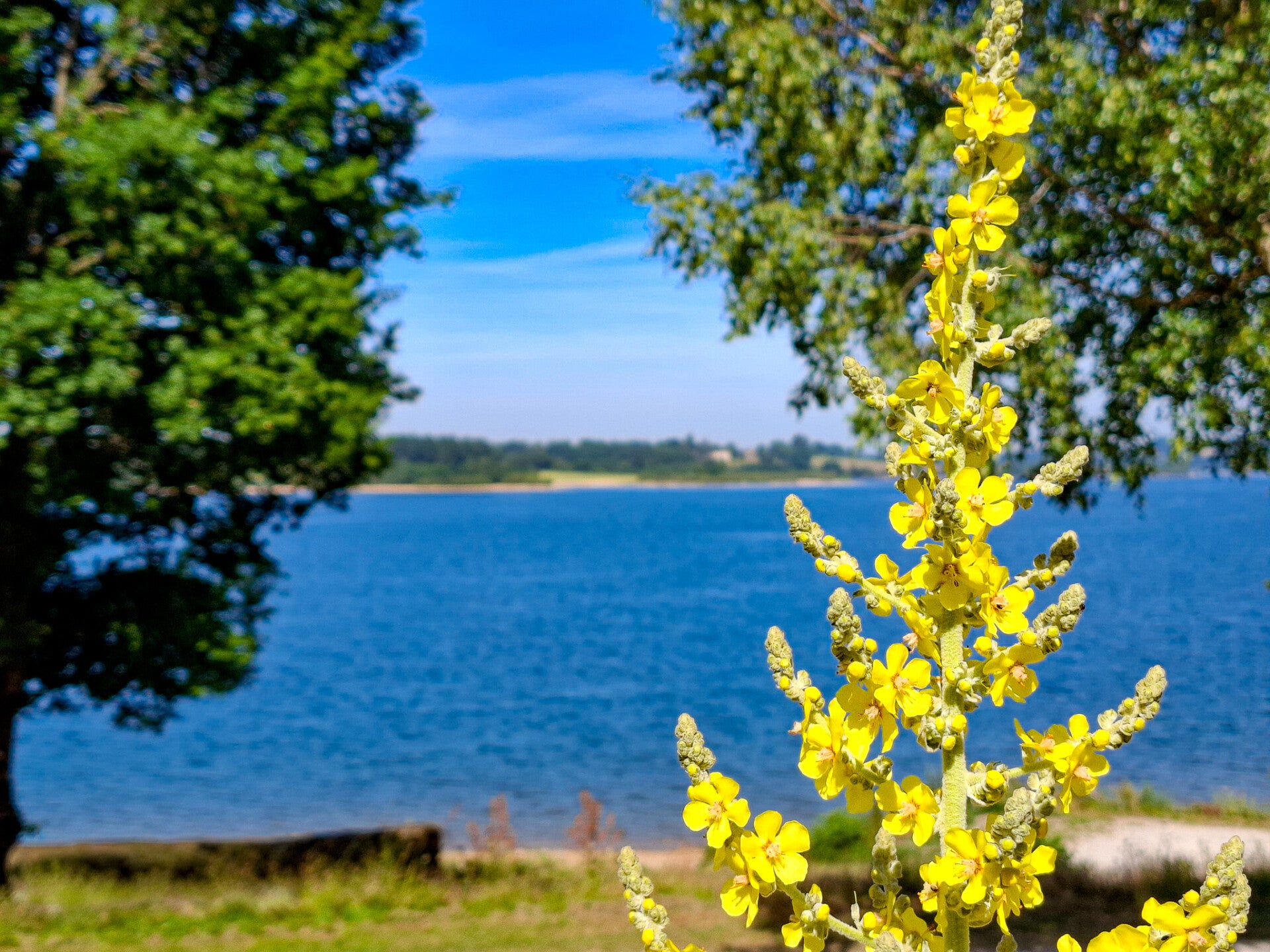 Face au lac