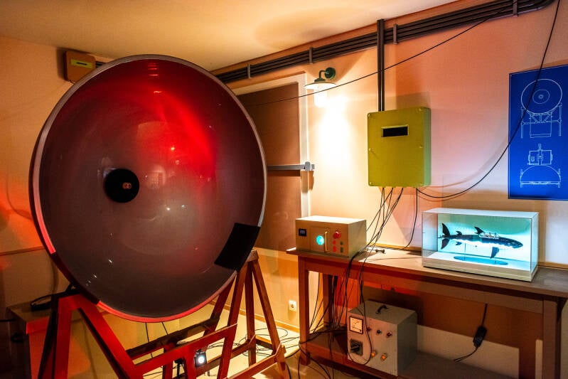 La laboratoire du Pr Tournesol