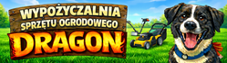 Wypożyczalnia Dragon