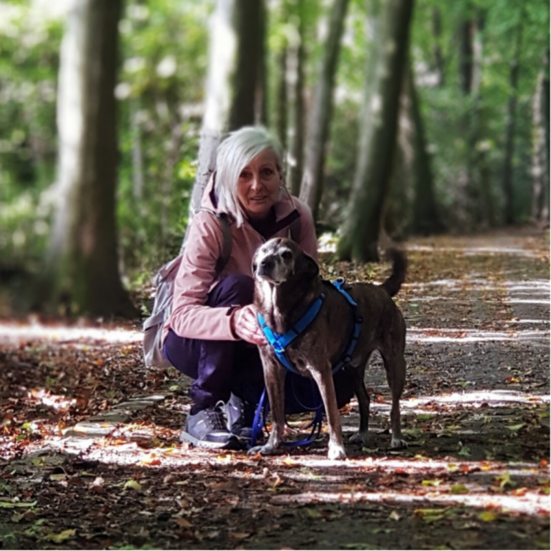 Hundetrainerin, Trainerin für Hunde, Hundeschule