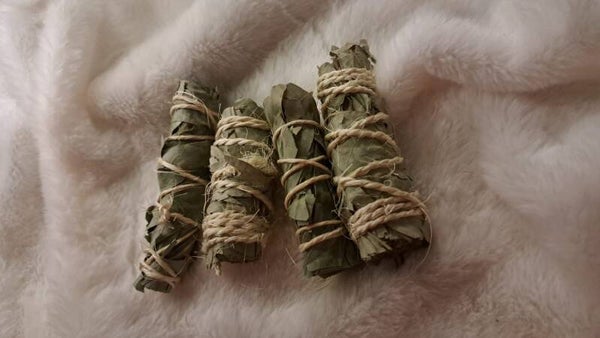 Eucalyptus Smudestick