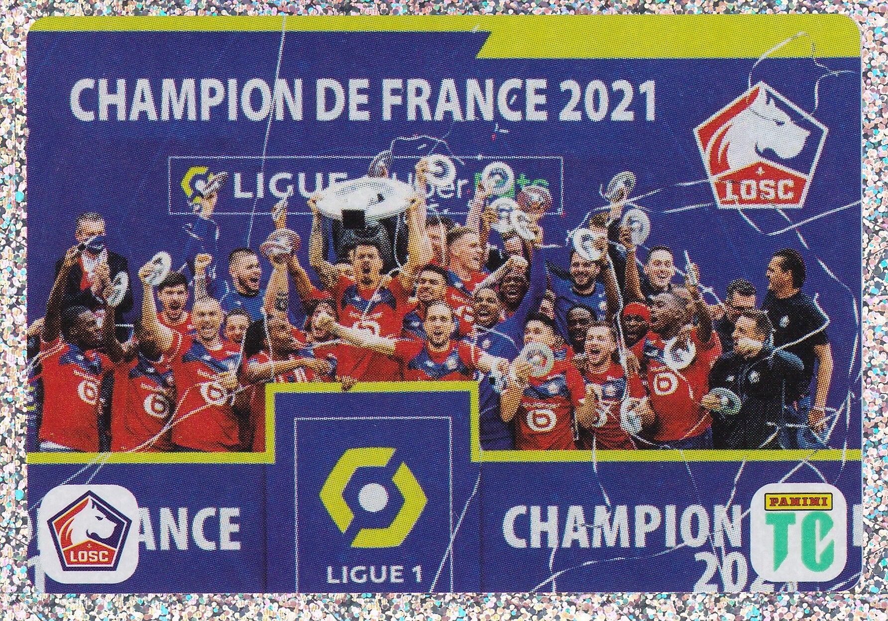 Nr.10 Champion De France 2021
