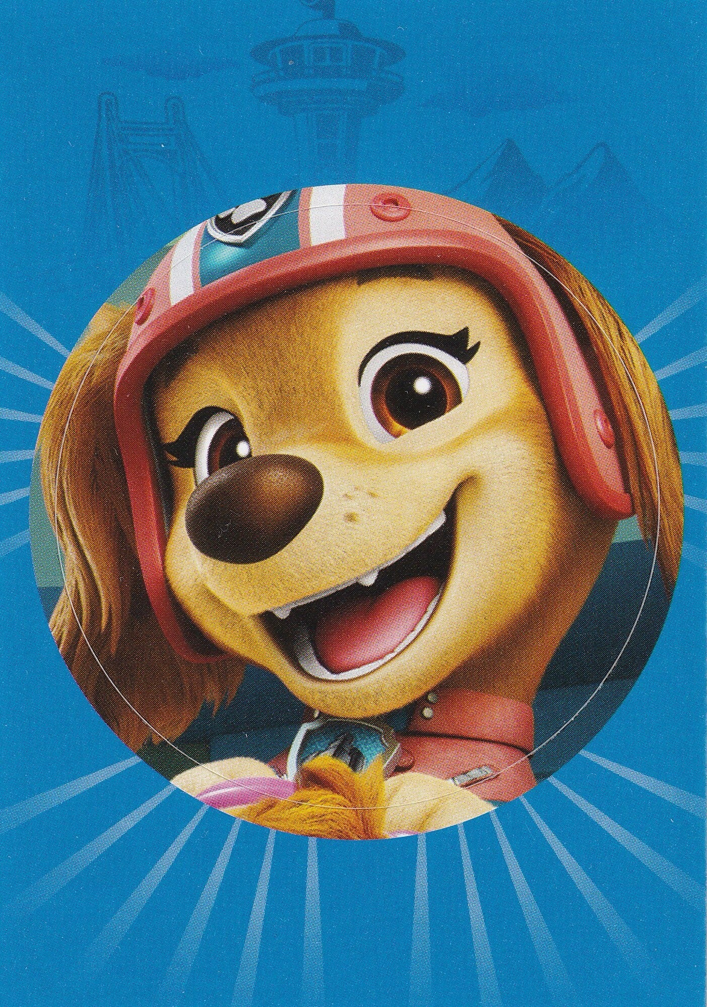 Nr.1 Paw Patrol Die besten Abenteuer aller Zeiten
