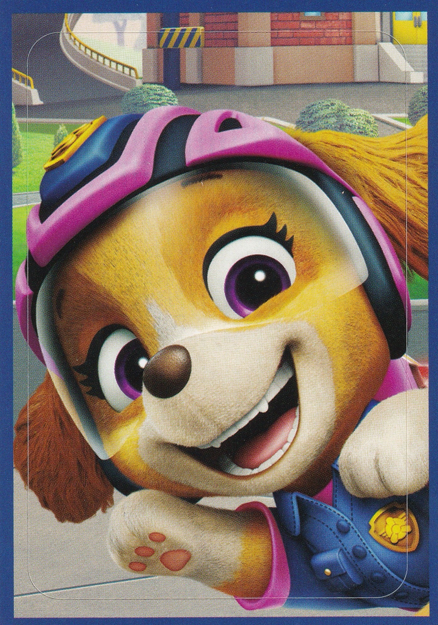 Nr.1 Paw Patrol Search Rescue