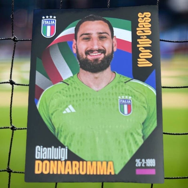 Nr.113 Gianluigi Donnarumma
