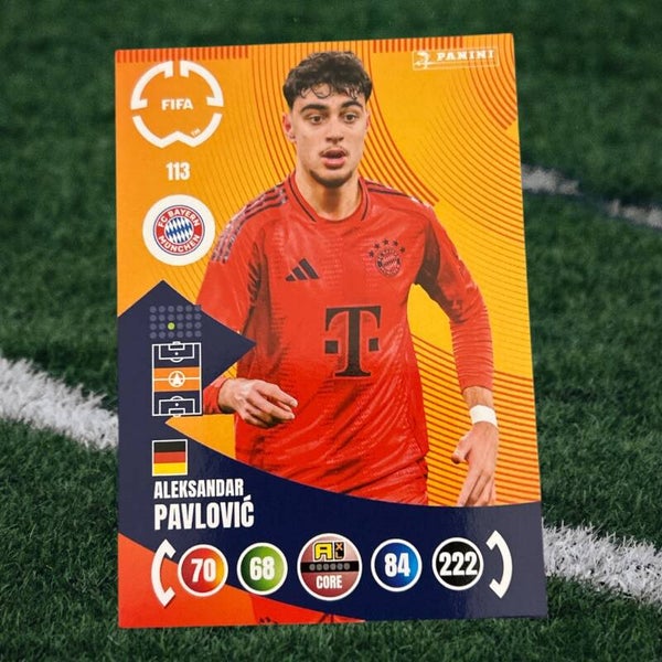 Nr.113 Aleksandar Pavlovic