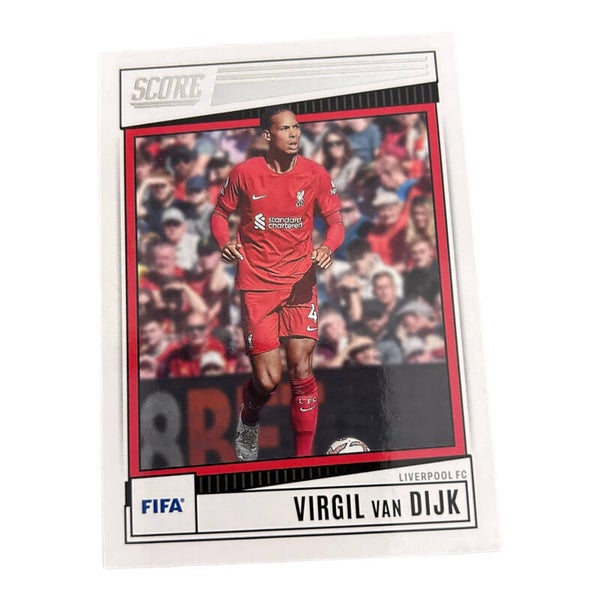 Nr.119 Virgil Van Dijk