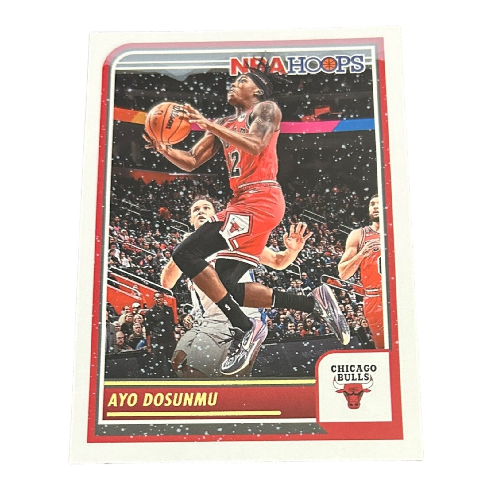 Nr.12 Ayo Dosunmu