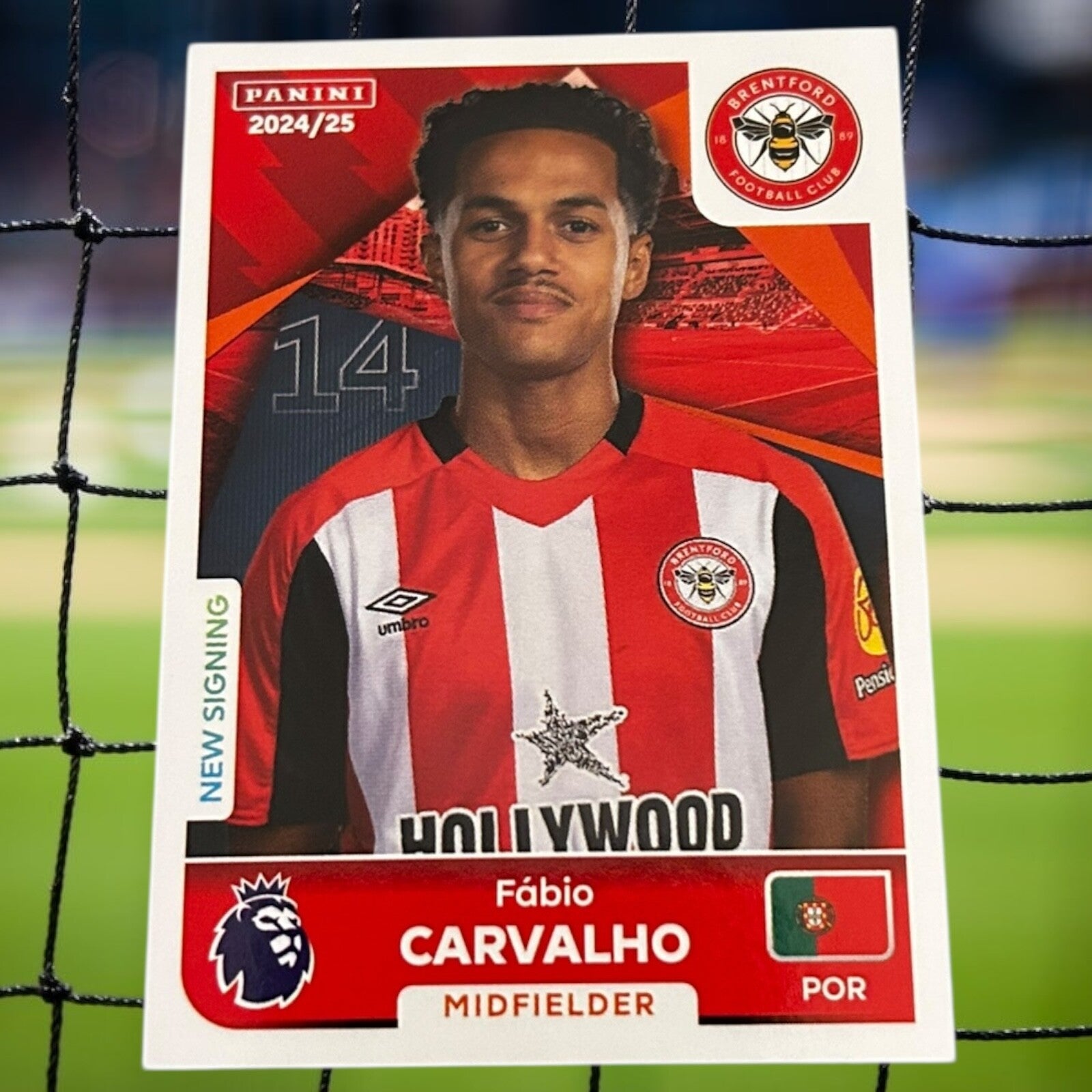 Nr.124 Fabio Carvalho