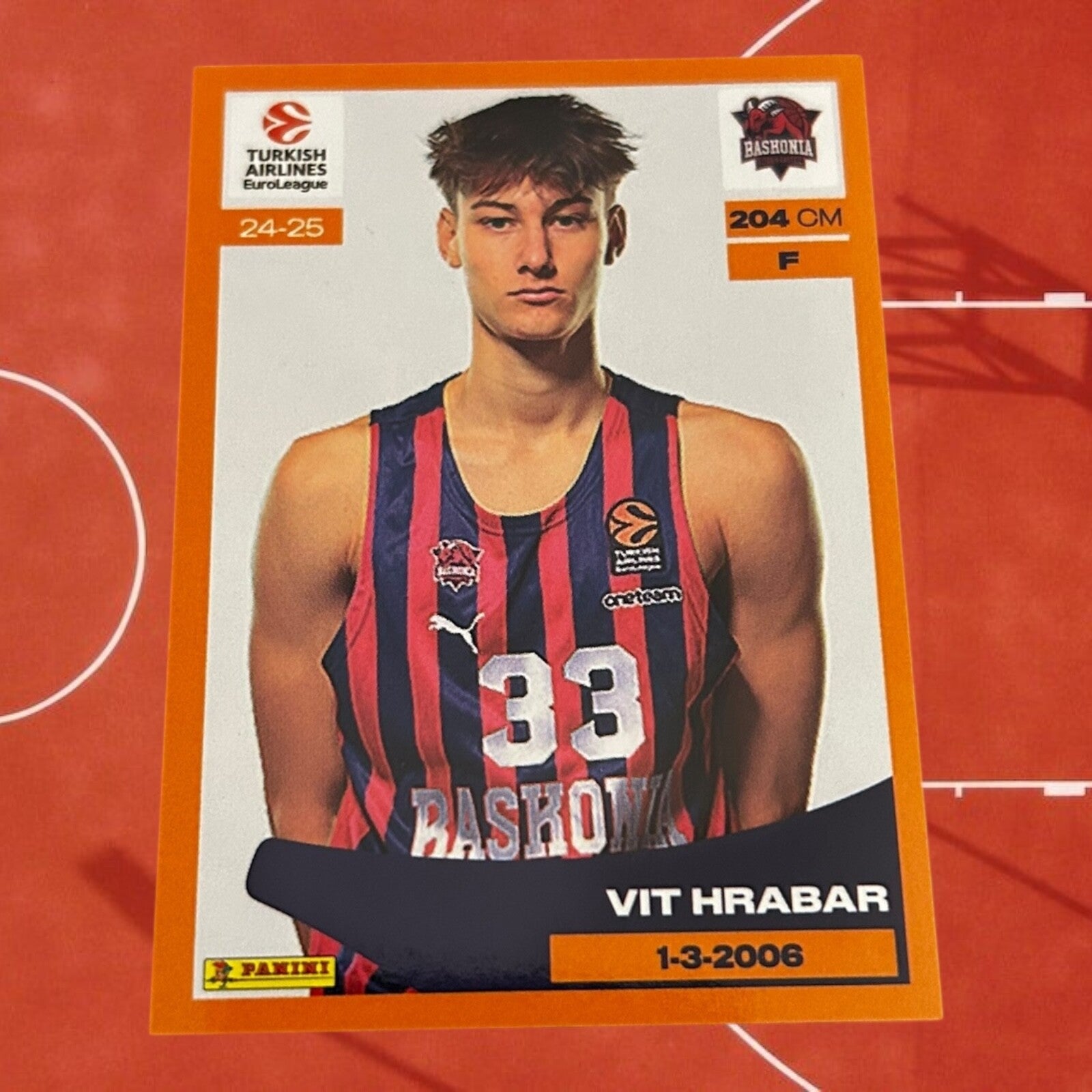 Nr.132 Vit Hrabar