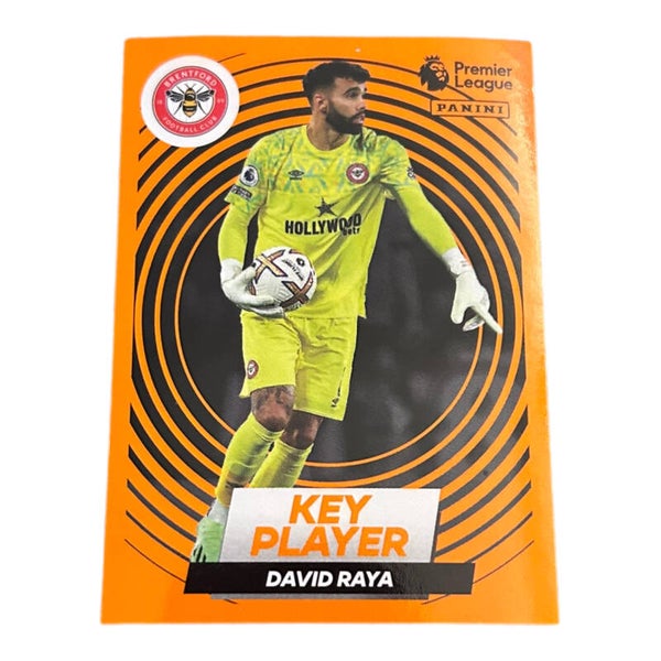 Nr.136 David Raya - Key Player