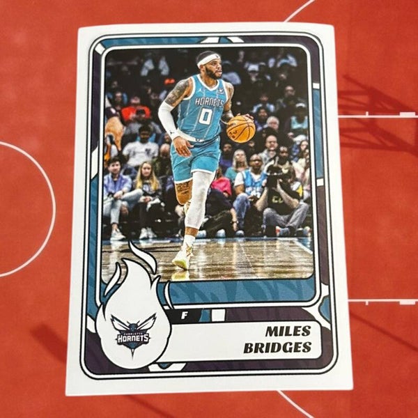 Nr.139 Miles Bridges