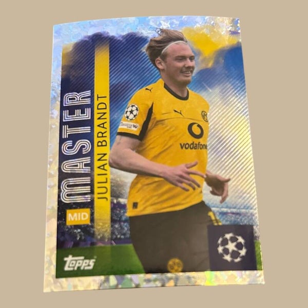 Nr.146 Julian Brandt - Master