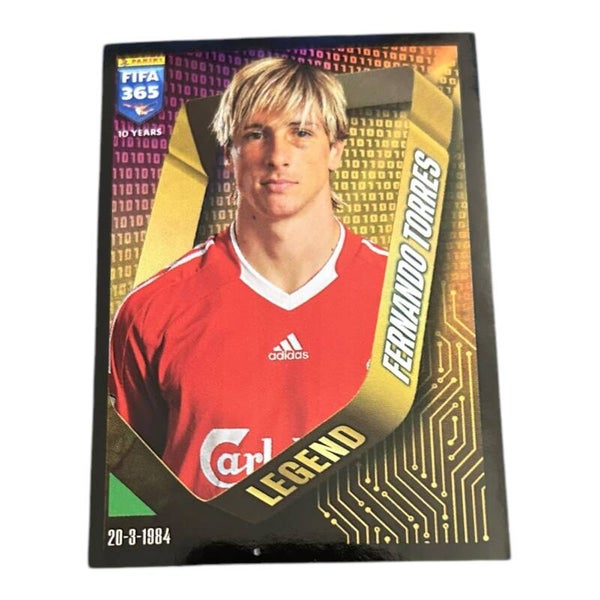 Nr.15 Fernando Torres