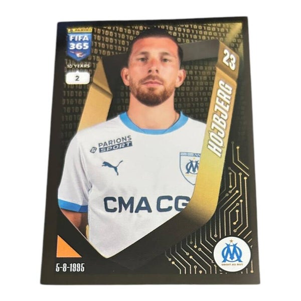Nr.161 Hojbjerg