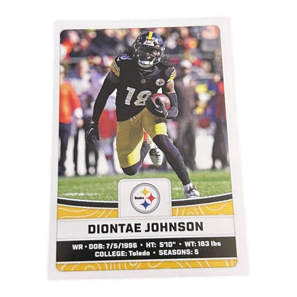 Nr.164 Diontae Johnson