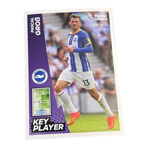 Nr.164 Pascal Groß - Key Player